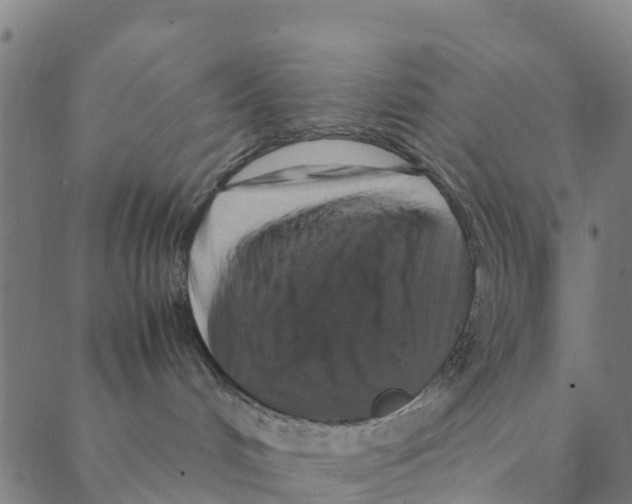 X0000088400048200706191408