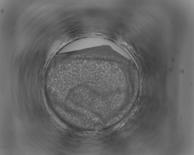 X0000088400049200706191407