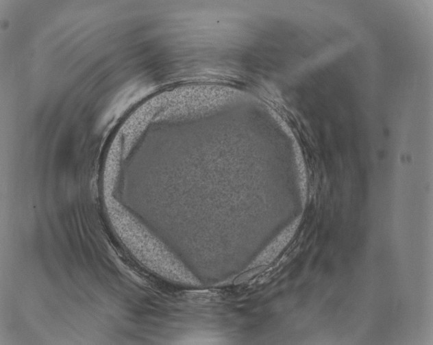 X0000088400050200706191407