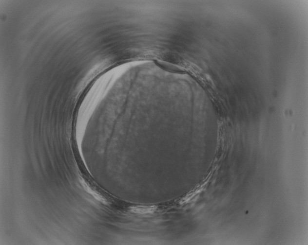 X0000088400051200706191407