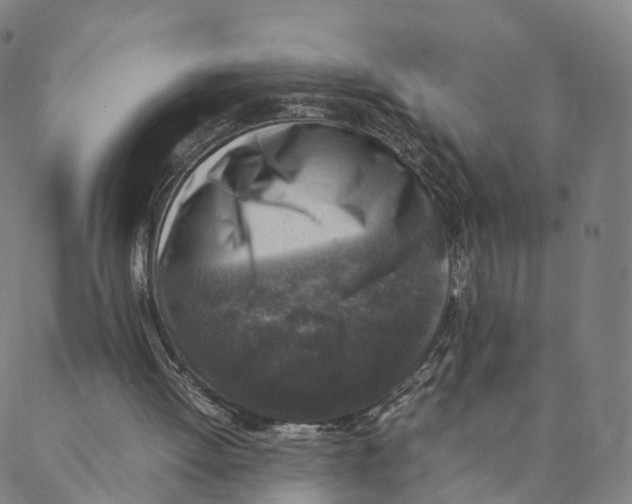 X0000088400052200706191407