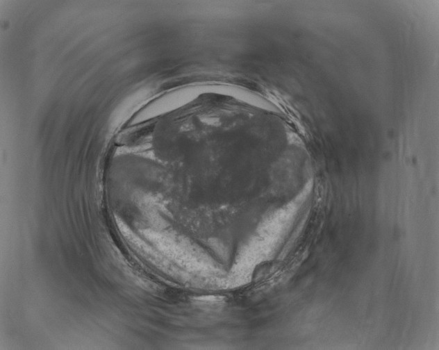 X0000088400053200706191407