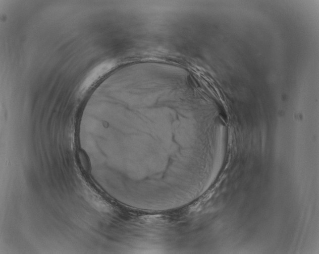 X0000088400054200706191407