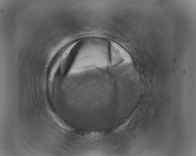 X0000088400056200706191408