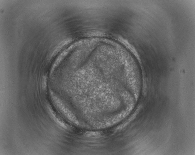 X0000088400057200706191408