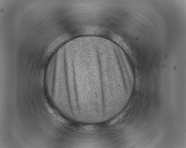 X0000088400058200706191408