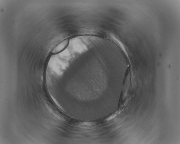 X0000088400059200706191408