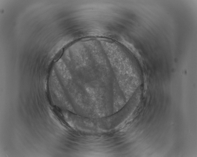 X0000088400060200706191408