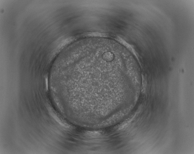 X0000088400061200706191408