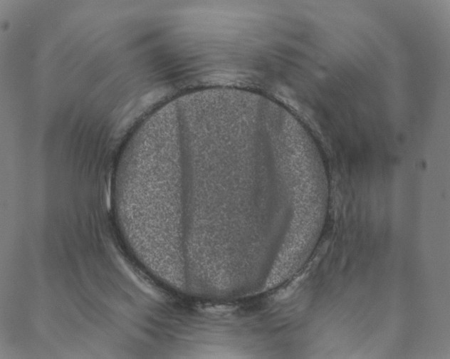 X0000088400062200706191408