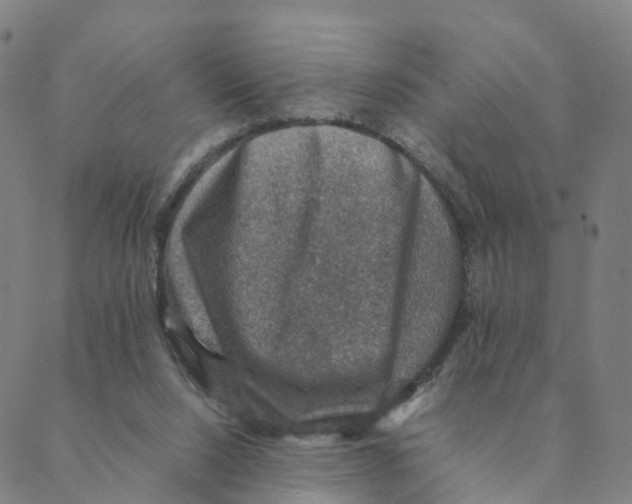 X0000088400064200706191408