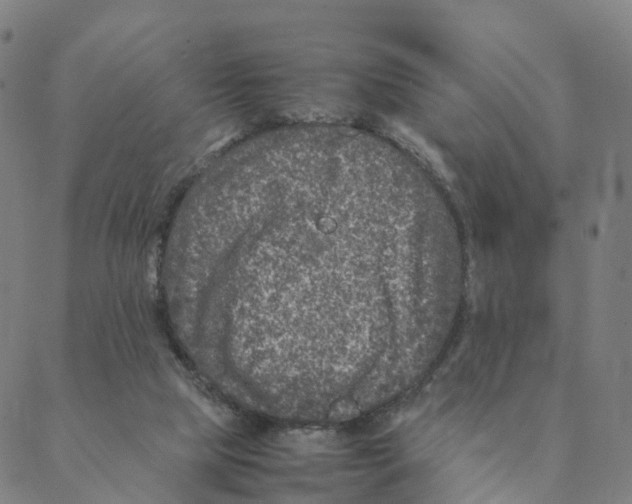 X0000088400065200706191408