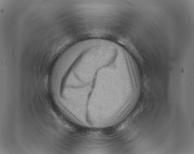 X0000088400066200706191408