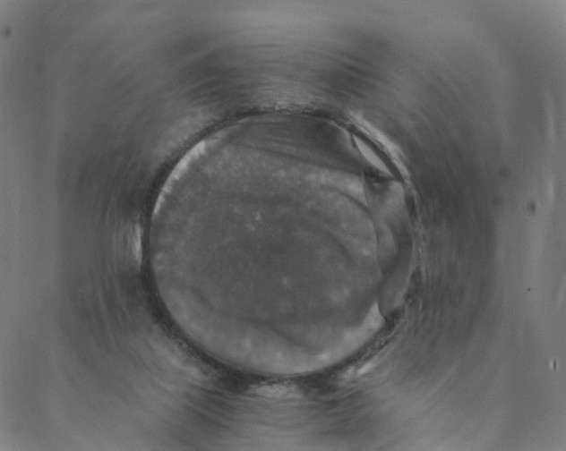 X0000088400067200706191408