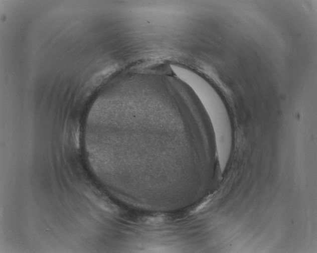 X0000088400068200706191408