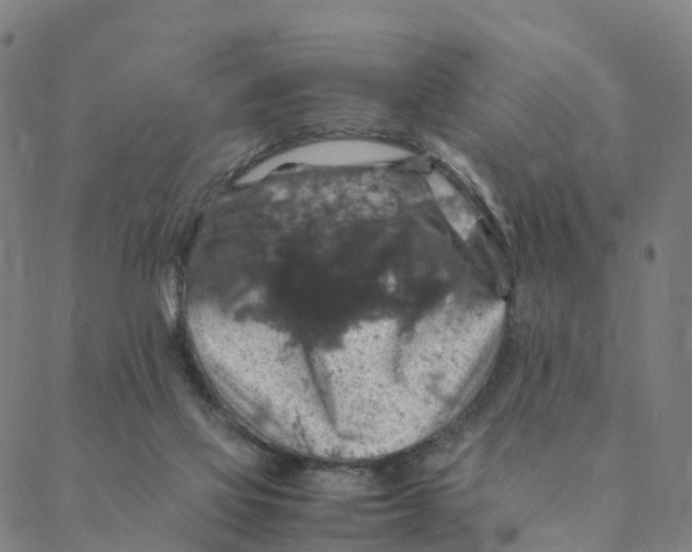 X0000088400069200706191408