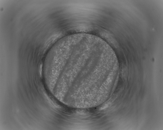 X0000088400070200706191408