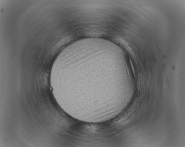 X0000088400071200706191408