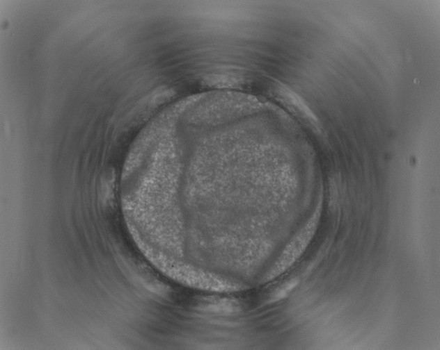 X0000088400073200706191408