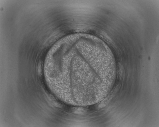 X0000088400074200706191408