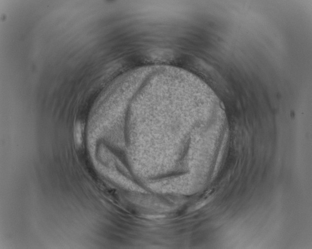 X0000088400075200706191408