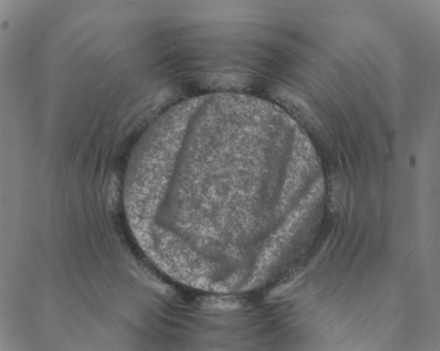 X0000088400077200706191408