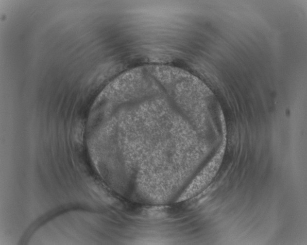 X0000088400078200706191408