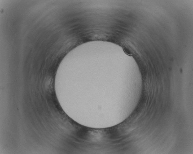 X0000088400079200706191408