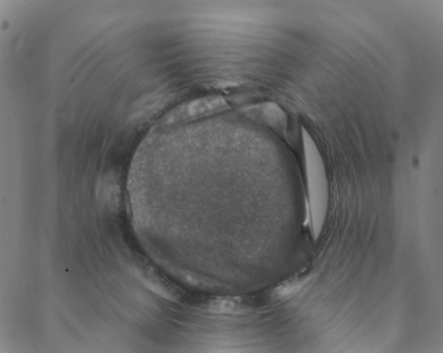 X0000088400080200706191408