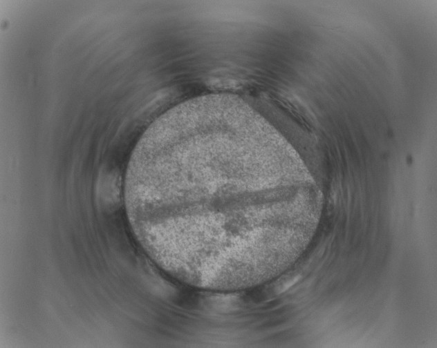 X0000088400081200706191408