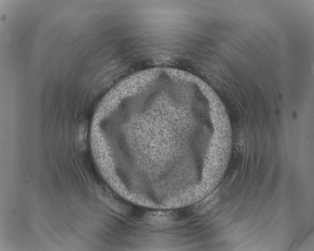 X0000088400082200706191408