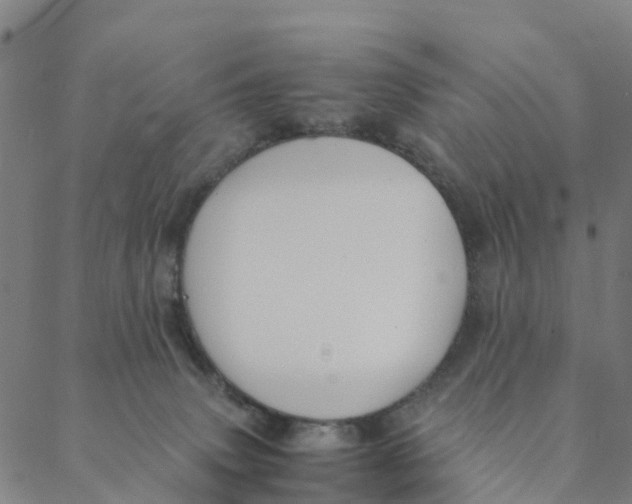 X0000088400083200706191408