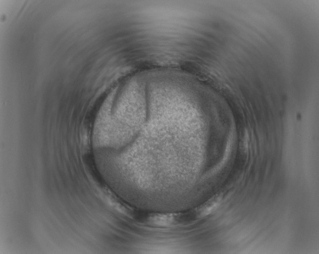 X0000088400084200706191408