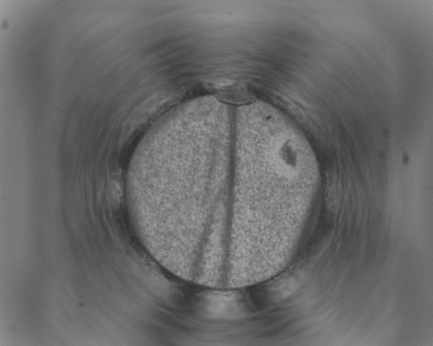 X0000088400085200706191408