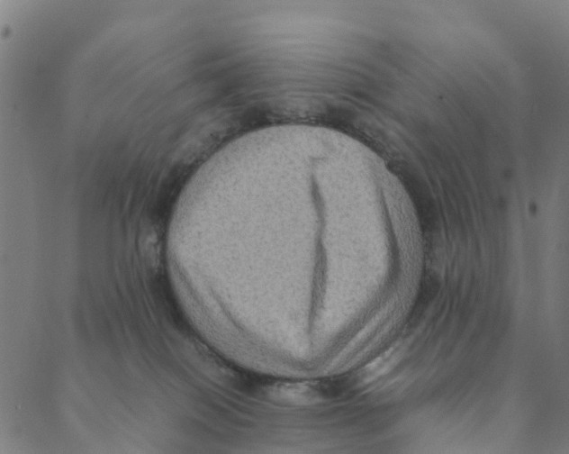 X0000088400086200706191408