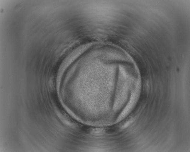 X0000088400088200706191408