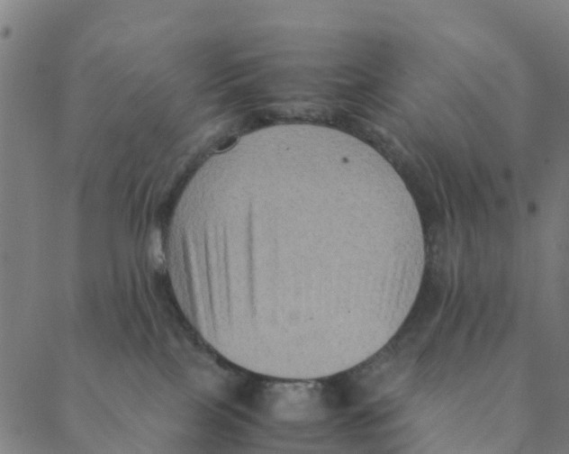 X0000088400089200706191408