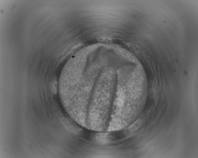 X0000088400090200706191408