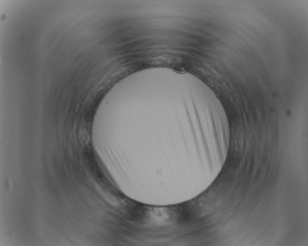 X0000088400091200706191408