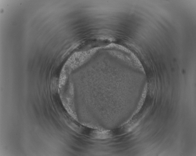 X0000088400093200706191408