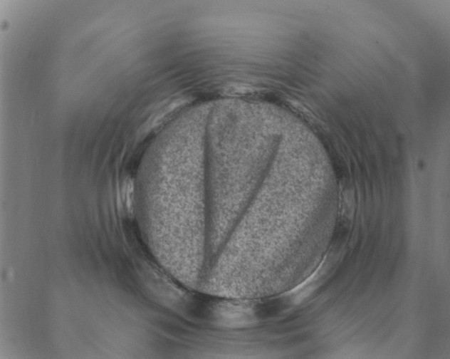 X0000088400094200706191408