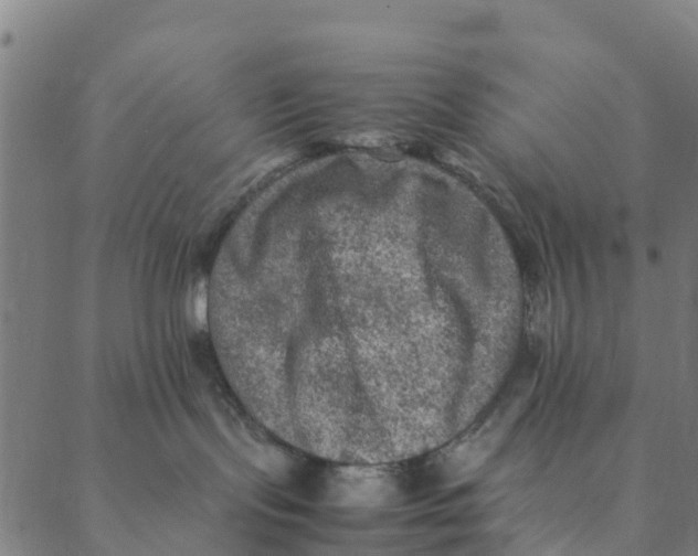 X0000088400095200706191408