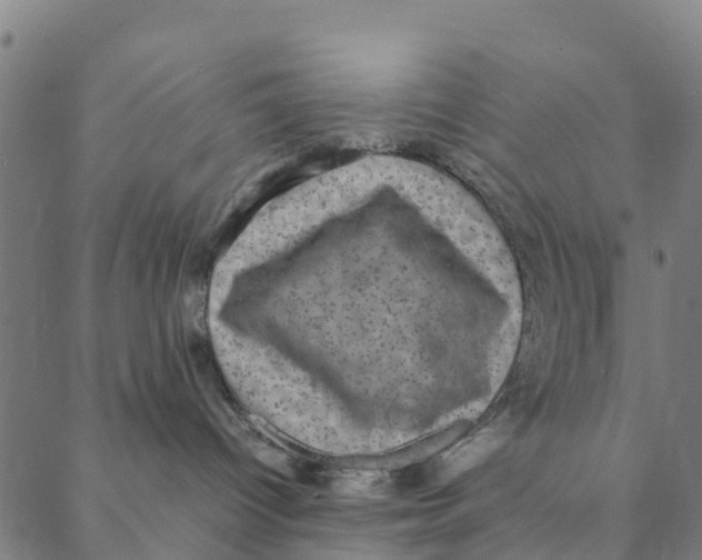 X0000088400096200706191408