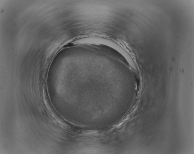 X0000088400097200706191407