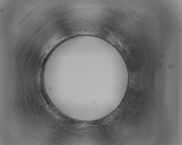 X0000088400098200706191407