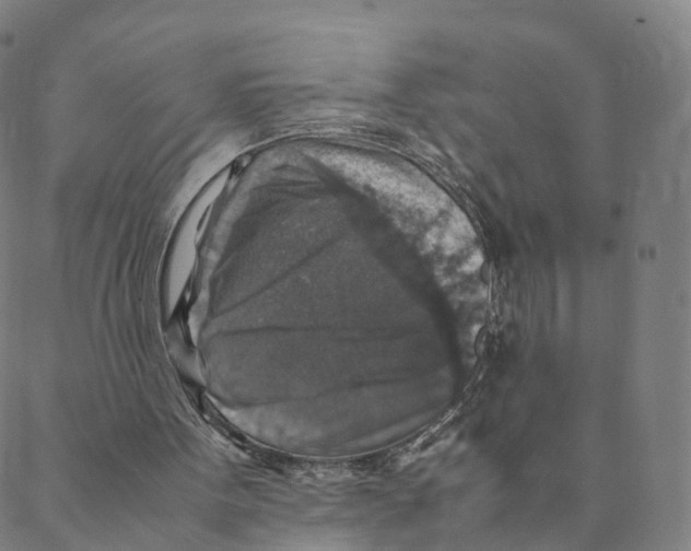 X0000088400099200706191407