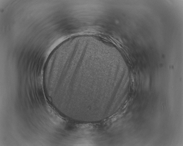 X0000088400100200706191407