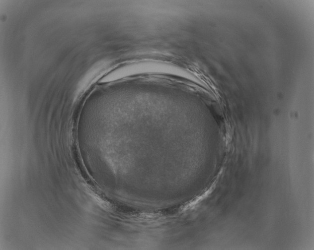 X0000088400101200706191407