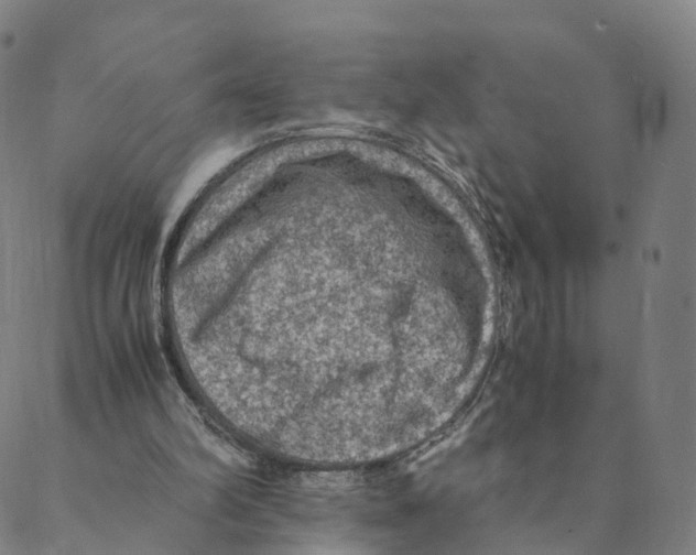 X0000088400102200706191407