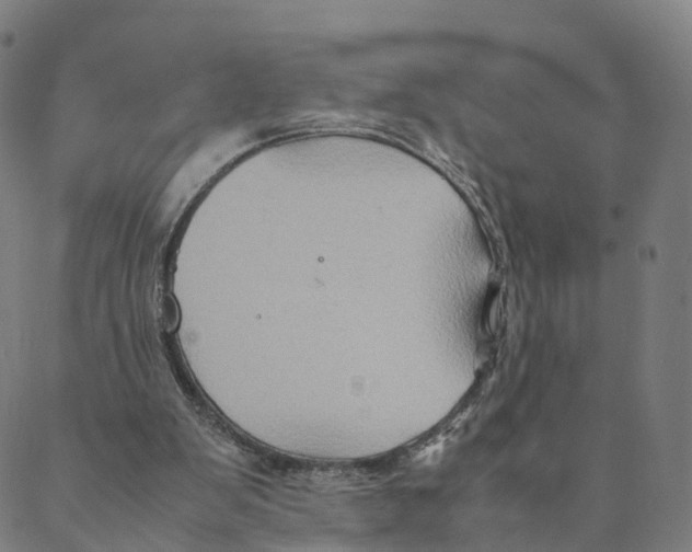 X0000088400103200706191407